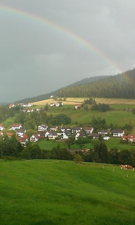 Martina Frey Ferienwohnungen Baiersbronn Exterior photo