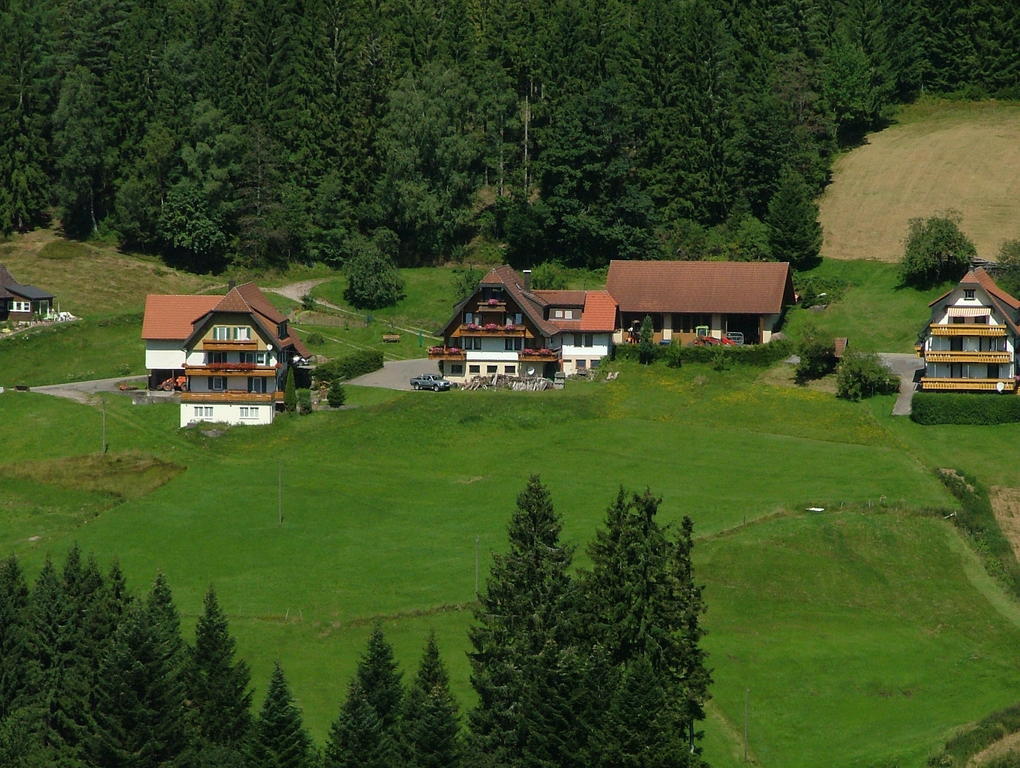 Martina Frey Ferienwohnungen Baiersbronn Exterior photo